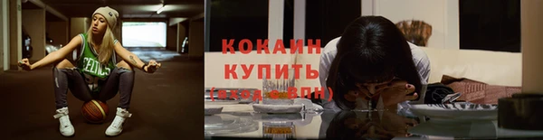 прущие грибы Алексин