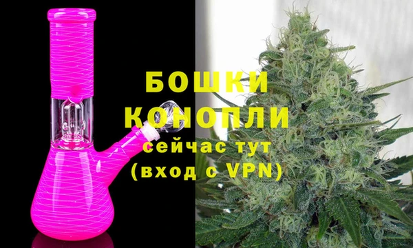 гидра Алексеевка