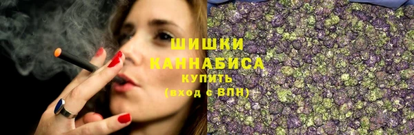прущие грибы Алексин