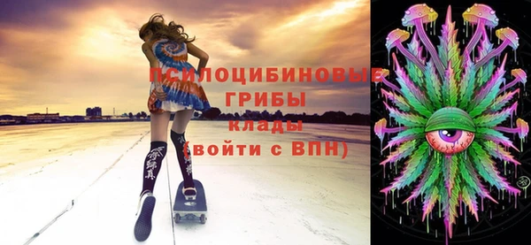 прущие грибы Алексин