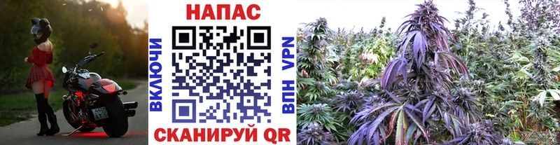 darknet клад  что такое наркотик  Ардатов  Конопля Ganja 